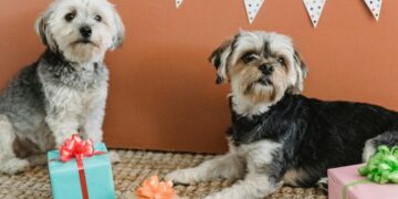 Why it’s important to treat your pets with presents