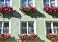 Sash Windows in Hurst & Wokingham: Origins and the Homes That Love Them