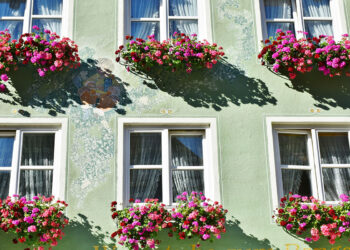 Sash Windows in Hurst & Wokingham: Origins and the Homes That Love Them