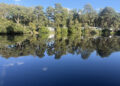 Wokingham: One of the “Happiest Places to Call Home” — And Why