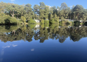 Wokingham: One of the “Happiest Places to Call Home” — And Why