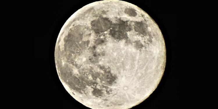 wolf moon