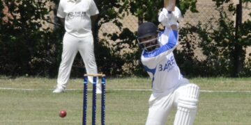 Emmbrook & Bearwood Cricket