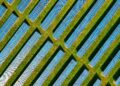 Solar Farm