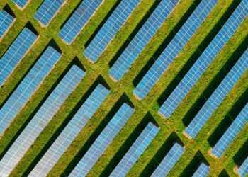 Solar Farm
