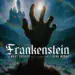 Hand reaching towards lightning with castle in background for Frankenstein play.